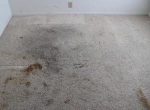 What is normal wear and tear for an apartment?